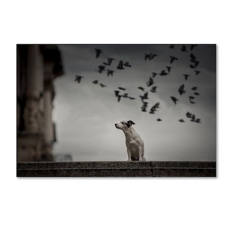Trademark Fine Art Heike Willers 'Close Your Eyes And Listen' Canvas Art, 12x19 1X00776-C1219GG
